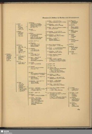Stammtafel Kästner in Bockwa und Oberhohndorf