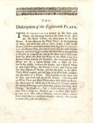 The Description of the Eighteenth Plate