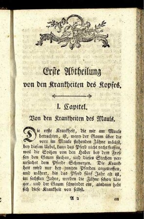 I. Capitel. Von den Krankheiten des Mauls.