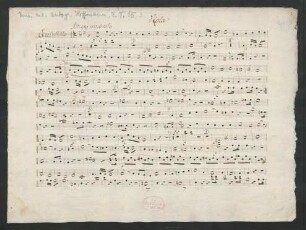 Viola (unvollst.)