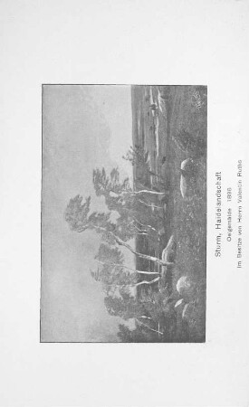 Sturm, Haidelandschaft