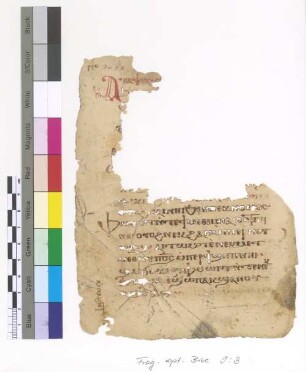 Ps. CXVIII, 17 - 24