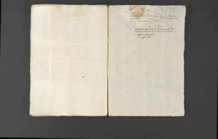 Militärische Werbungen und Kriegsrüstungen Pfalzgraf Wolfgangs zugunsten Louis I. de Bourbon, Fürst von Condé, und Verwarnung des Pfalzgrafen durch Kaiser Ferdinand I. und Landgraf Philipp von Hessen.