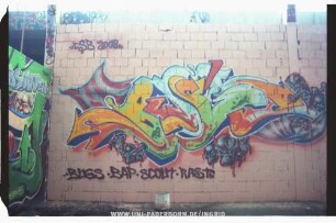 BuGS | "BUGS BAP SCOUt RASt" "CSB | 2002"