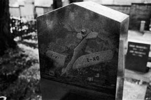 Pardubice : (in Pardubice), Lomnice pod Popelkou, siehe cx01_18
