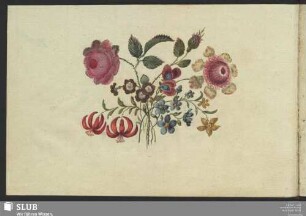 Bl. 20v-21r: G. F. Haebler. Wittenberg, 14.03.1775.