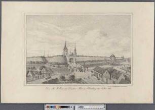 Das alte Millern- oder Düstern Thor in Hamburg im Jahre 1587 (Hamburg's Vergangenheit in bildlichen Darstellungen ; I,8)
