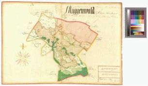 [Müggenwalde Amt/Distrikt Grimmen] Müggenwald op Grimms Destrict