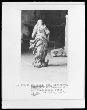 Immaculata