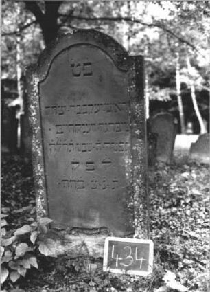 Grabstein 434 (Index: 99895663) Material: Sandstein Zustand: gut Maße HxBxT: 124x62x9 cm Beschreibung: Stele mit eingezogenem Rundbogenabschluss: Grabstein 434