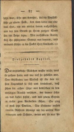 Dreizehntes Kapitel