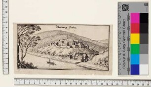 Kloster Neuburg von Südosten, mit dem Neckar im Vordergrund