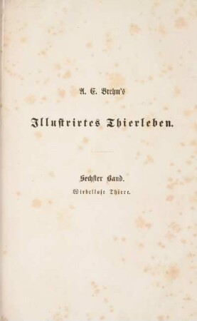6: Illustrirtes Thierleben: eine allgemeine Kunde des Thierreichs. Sechster Band. Wirbellose Thiere