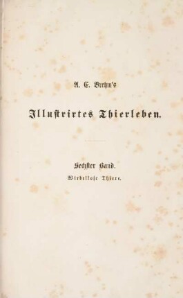 6: Illustrirtes Thierleben: eine allgemeine Kunde des Thierreichs. Sechster Band. Wirbellose Thiere