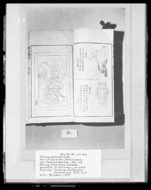 Ch-eng-shih-mo-yuan (illustriertes Verzeichnis von Tuschestäbchen, die von Ch-eng Chün-fang stammen)