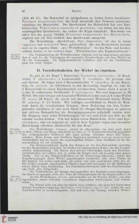 II: Verschiedenheiten der Wirbel im einzelnen