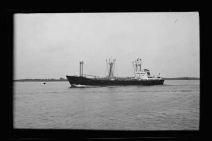 Hector (1963), Neptun.- Dampfschifffahrts-Gesellschaft „Neptun“, Neptun Linie, D.G. "Neptun", Bremen
