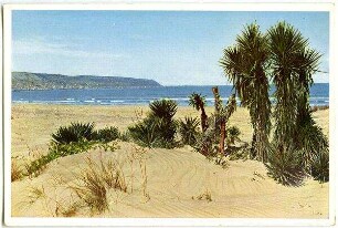 Strand bei Haifâ [Haifa]. Links Haifâ und Berg Karmel