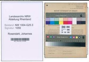 Entnazifizierung Johannes Rosendahl , geb. 18.04.1906 (Kaufmann)