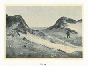 Dünen