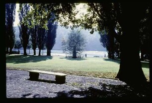 Lietzensee 10.10.59.