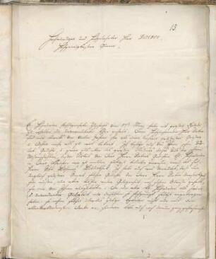 Brief 13