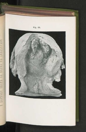 Fig. 68.