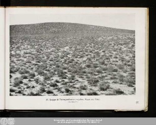 27. Steppe in Transjordanien
