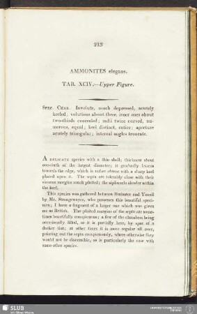 Ammonites elegans. Tab. XCIV. - Upper Figure