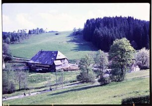 Hinterzarten: Schwarzwaldhof mit Kapellchen, weiter weg, Vordergrund Wiese