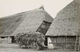 Insel Rügen. Rittergut Ruschwitz. Scheunen
