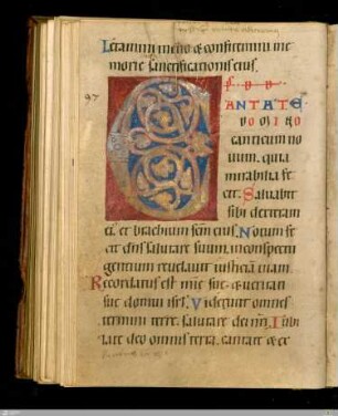 Rankeninitiale "C" (Ps. 97)
