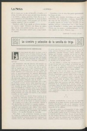 La siembra y selección de la semilla de trigo