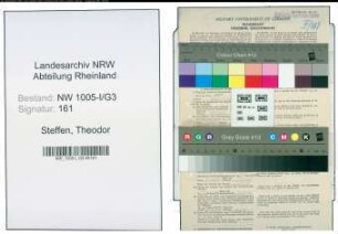 Entnazifizierung Theodor Steffen , geb. 21.10.1896 (Stadtsekretaer)
