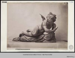 Putten : Geflügelter Putto