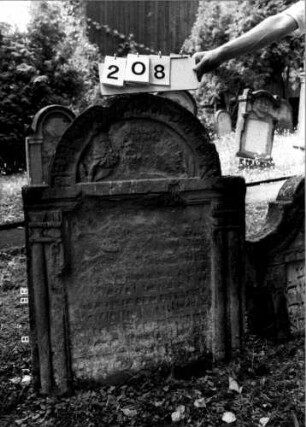 Grabstein 208