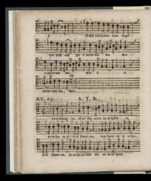 XV In te Domine speravi (a 3. Alto, Tenore & Basso)
