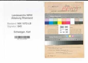 Entnazifizierung Karl Schweiger , geb. 06.10.1896 (Landrat)