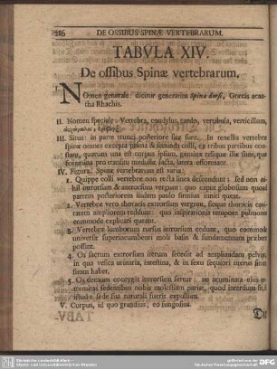 Tabula XIV. De ossibus Spinae vertebrarum