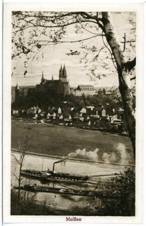 Meißen. Blick von Proschwitz - Elbe m. Dampfer Wettin
