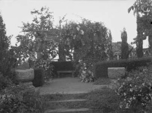 Rosenhöhe