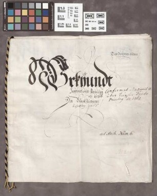 Friedberg: Kaiser Rudolfs II. Konfirmation Kaiser Friedrichs III. der Burg Friedberg 1474 gegebenen Privilegs über die Grafschaft des Ober- und fr...