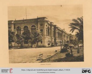 Stazione Zoologica