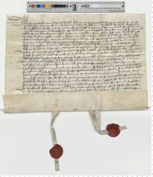 Die Ratsmannen Lucas Moller und Statius Borcholt urkunden über den Stoteroggen Hof in Brietlingen.