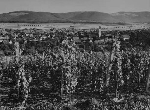 Archivfotografie "kaiserstuhl_erzingen_p364"