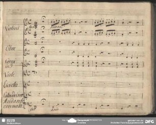 Einlage Aria (Joseph Schuster): "Signore mio illustrissimo"