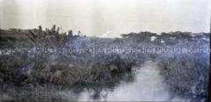 Landschaft an einem Flusslauf in Angola