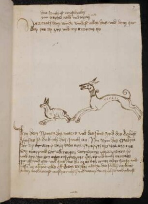 Hunde