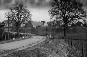 Groß-Barnitz: Trenthorster Straße: rechts und links Bäume: dahinter Zäune und Wiesen: hinten Bauerngehöfte