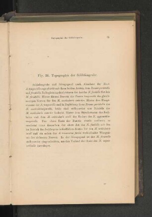 Fig. 34. Topographie der Schläfengrube.